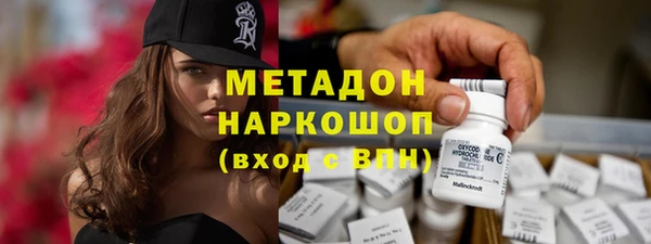 прущие грибы Алексеевка